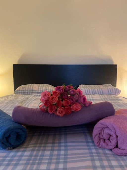 Flat In The House & Dog Friendly Prague