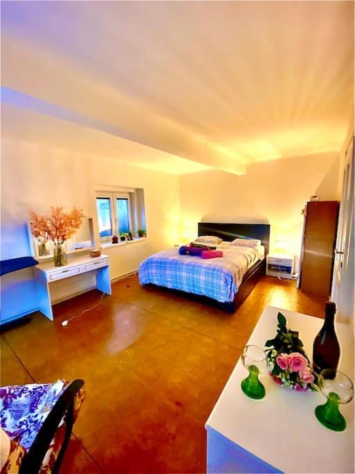 Flat In The House & Dog Friendly Praha