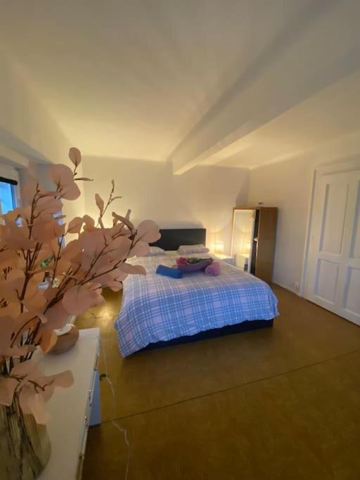 Flat In The House & Dog Friendly Apartmán *