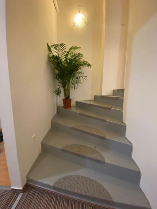 Flat In The House & Dog Friendly * Praha