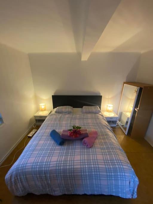 Flat In The House & Dog Friendly Apartmán *