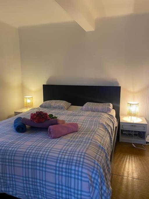 Apartmán Flat In The House & Dog Friendly Praha
