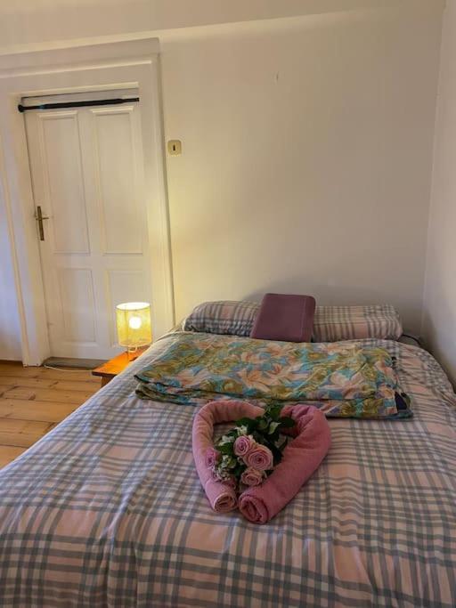 Flat In The House & Dog Friendly Praha