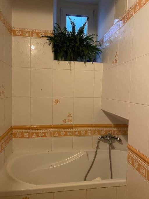 Flat In The House & Dog Friendly Apartmán