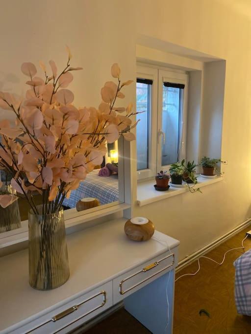 Apartmán Flat In The House & Dog Friendly *