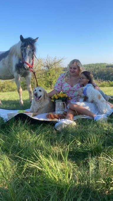 Apartmán Flat In The House & Dog Friendly *