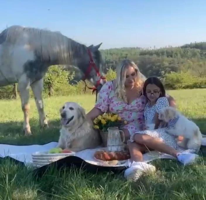 Flat In The House & Dog Friendly Apartmán *