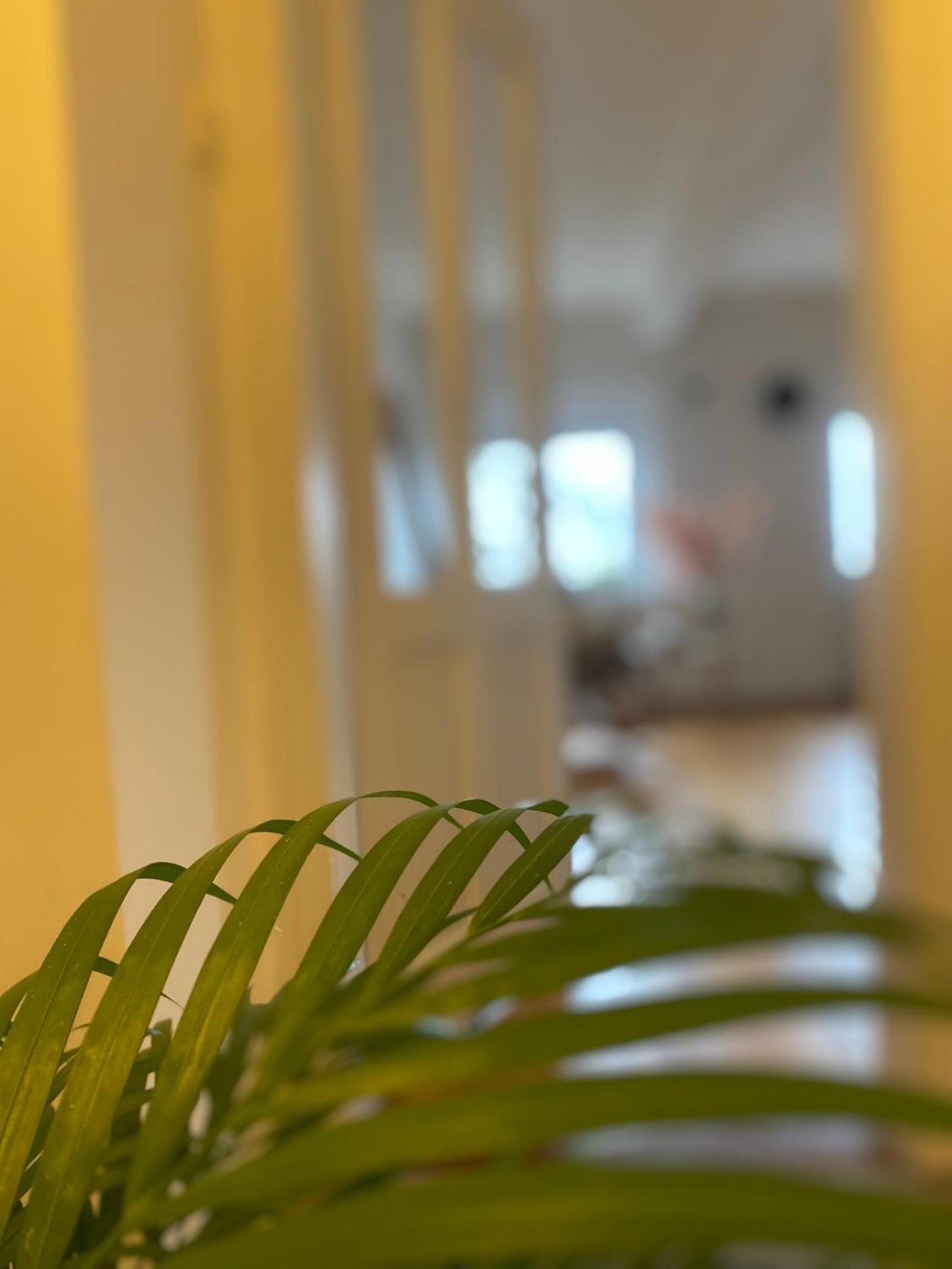 Flat In The House & Dog Friendly Apartmán
