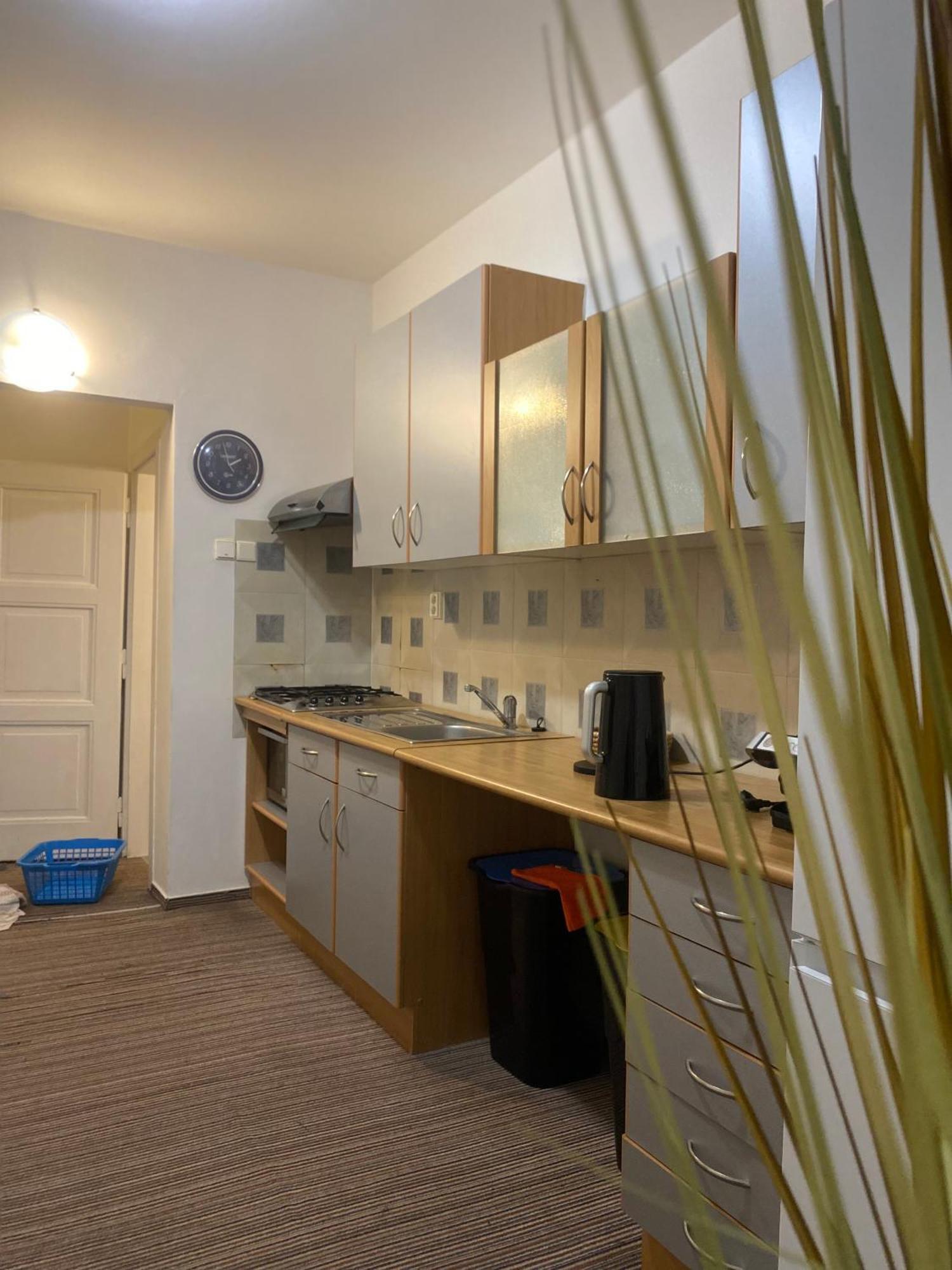 Flat In The House & Dog Friendly Prague
